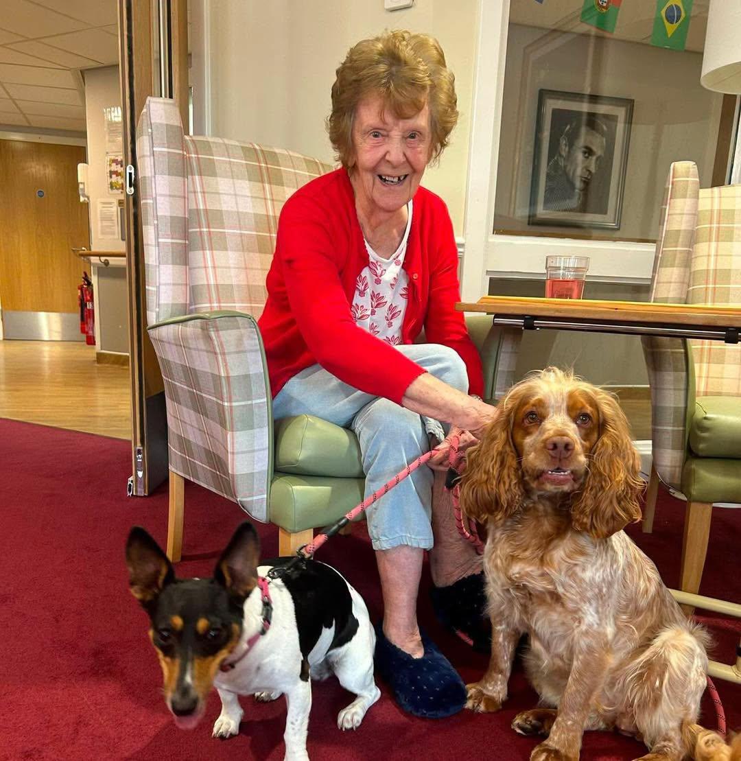 elderly woman with two therapy dogs